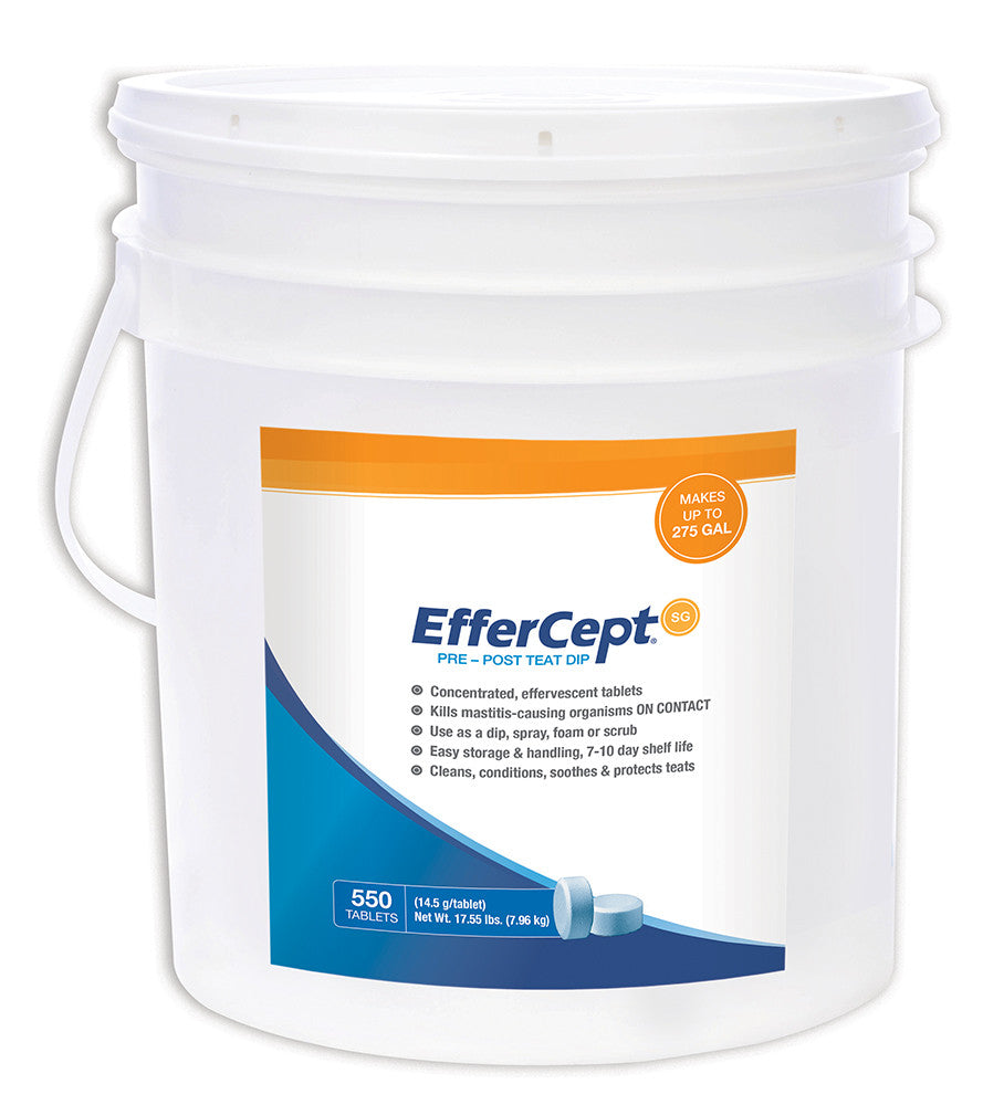 EfferCept SG - 550 Tablet Jar
