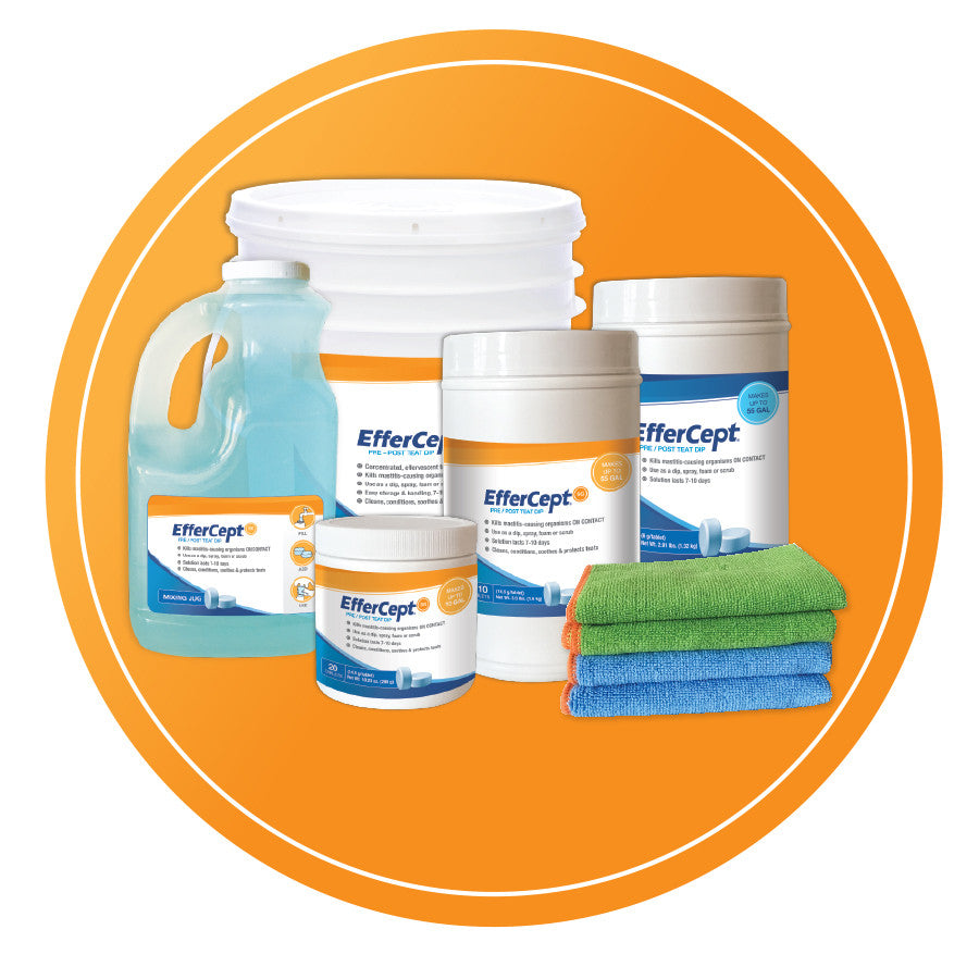 EfferCept SG - 110 Tablet Jar